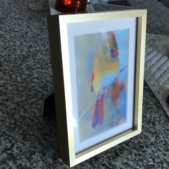 Framed cardinal photo - Picture 4 of 4